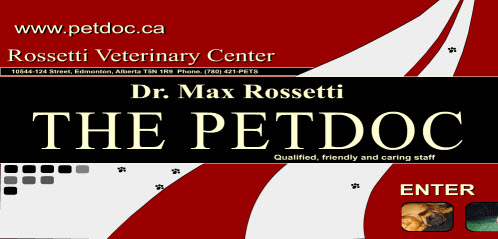 The Pewt Doc Max Rossetti